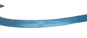 Regle perroquet en 40 cm