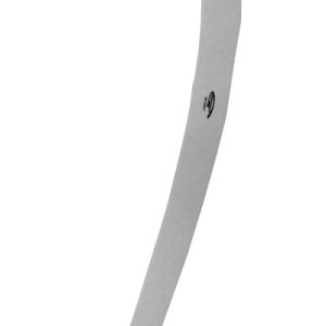 Regle perroquet en 70 cm